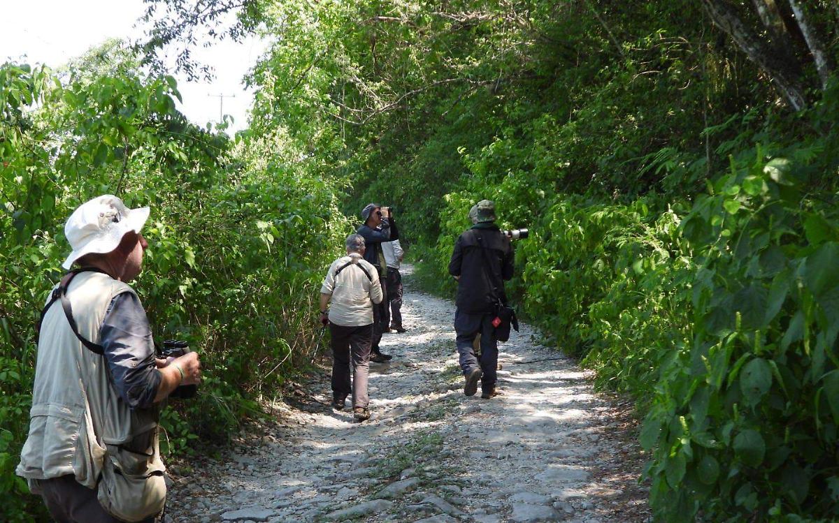 ¿Qué es el birding?